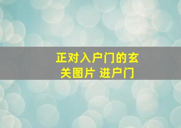 正对入户门的玄关图片 进户门